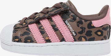 ADIDAS ORIGINALS Tenisky - Hnedá: predná strana