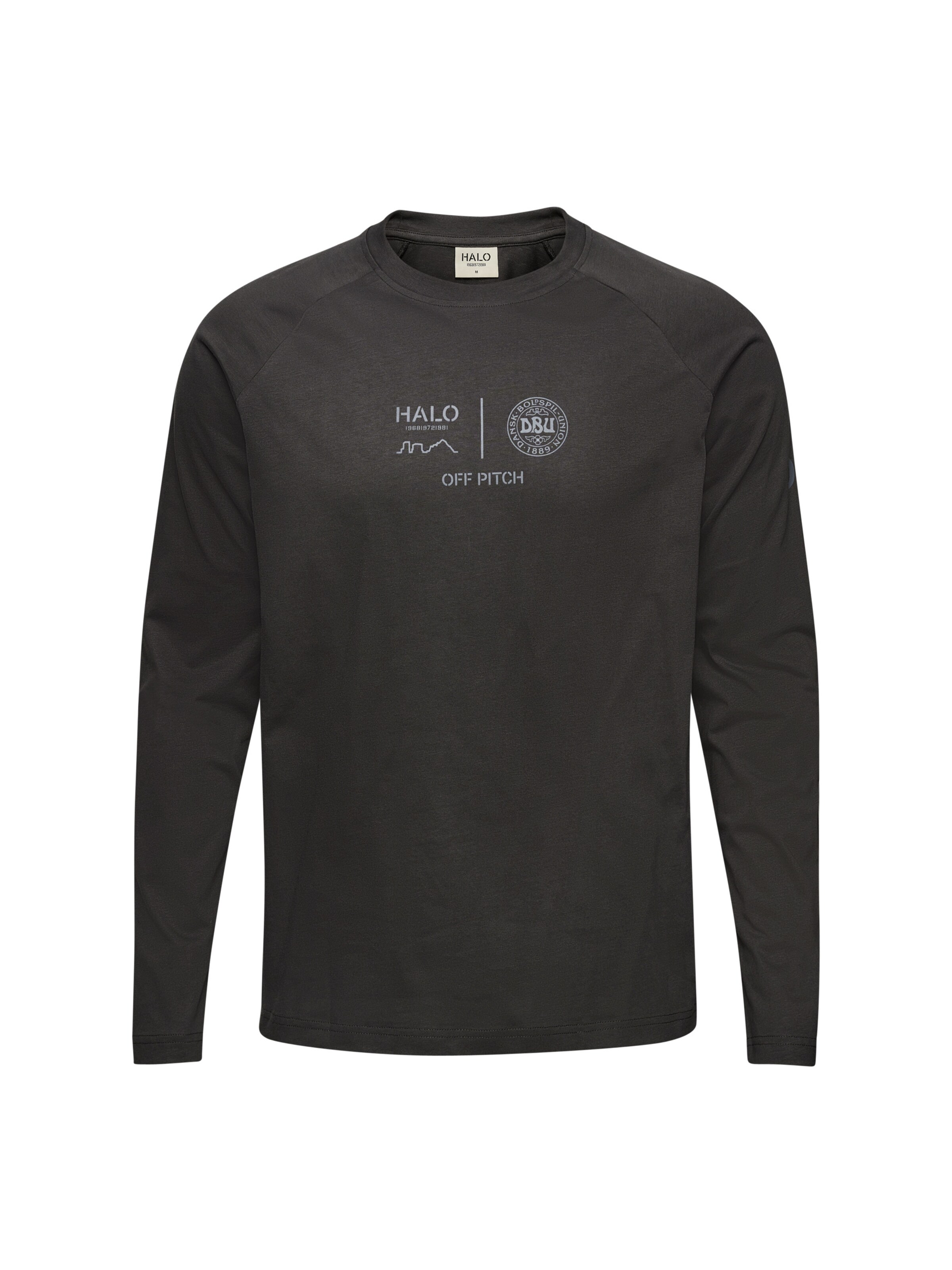 HALO Shirt 'HALO x DBU' in Grau: Vorderseite