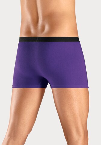 H.I.S Boxer shorts in Mixed colors