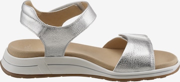 ARA T-Bar Sandals in Grey