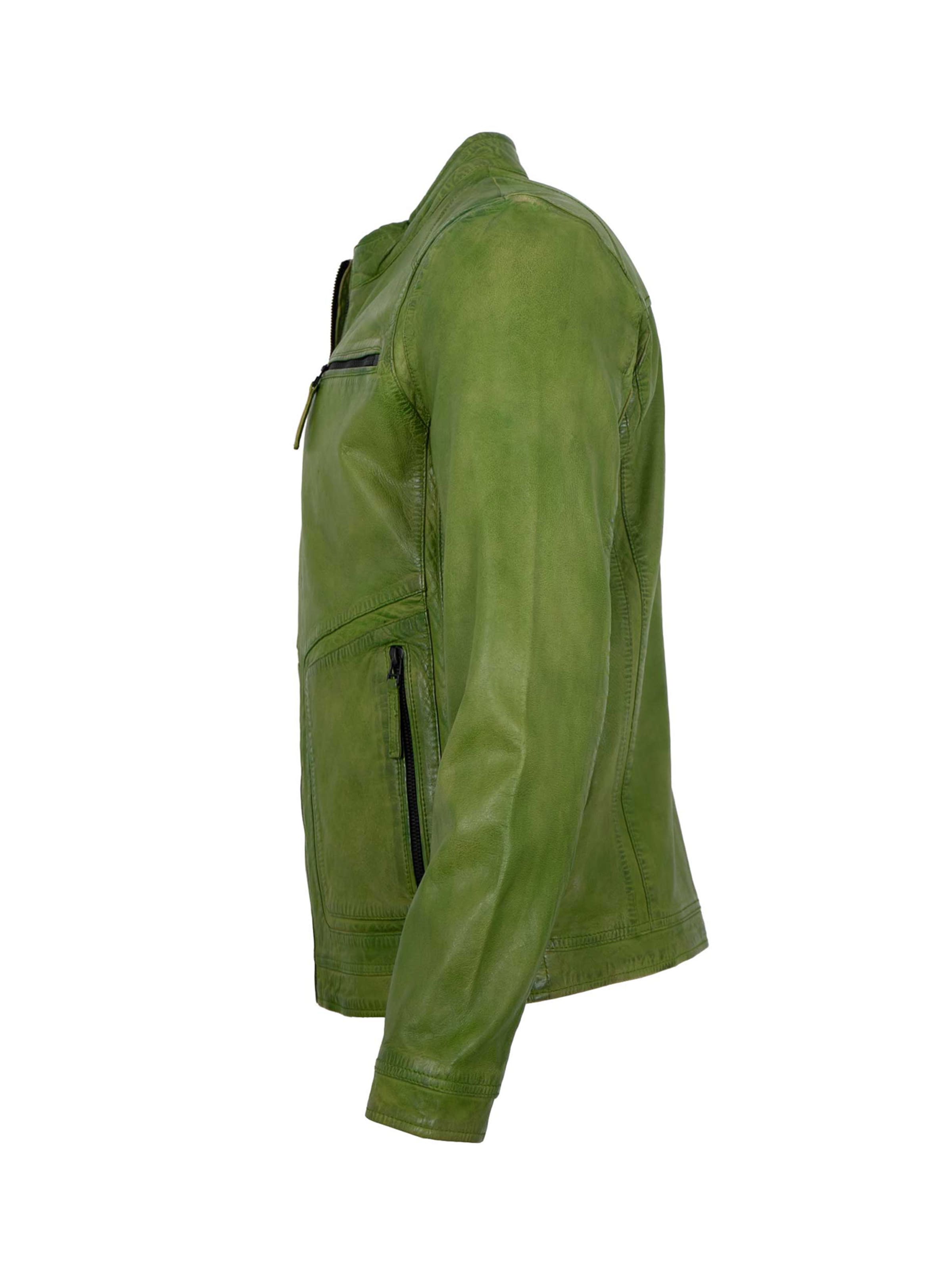Jilani Tussenjas 'Nilan-2' in Groen
