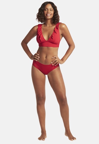 SEA LEVEL Bikinihose 'Essentials' in Rot