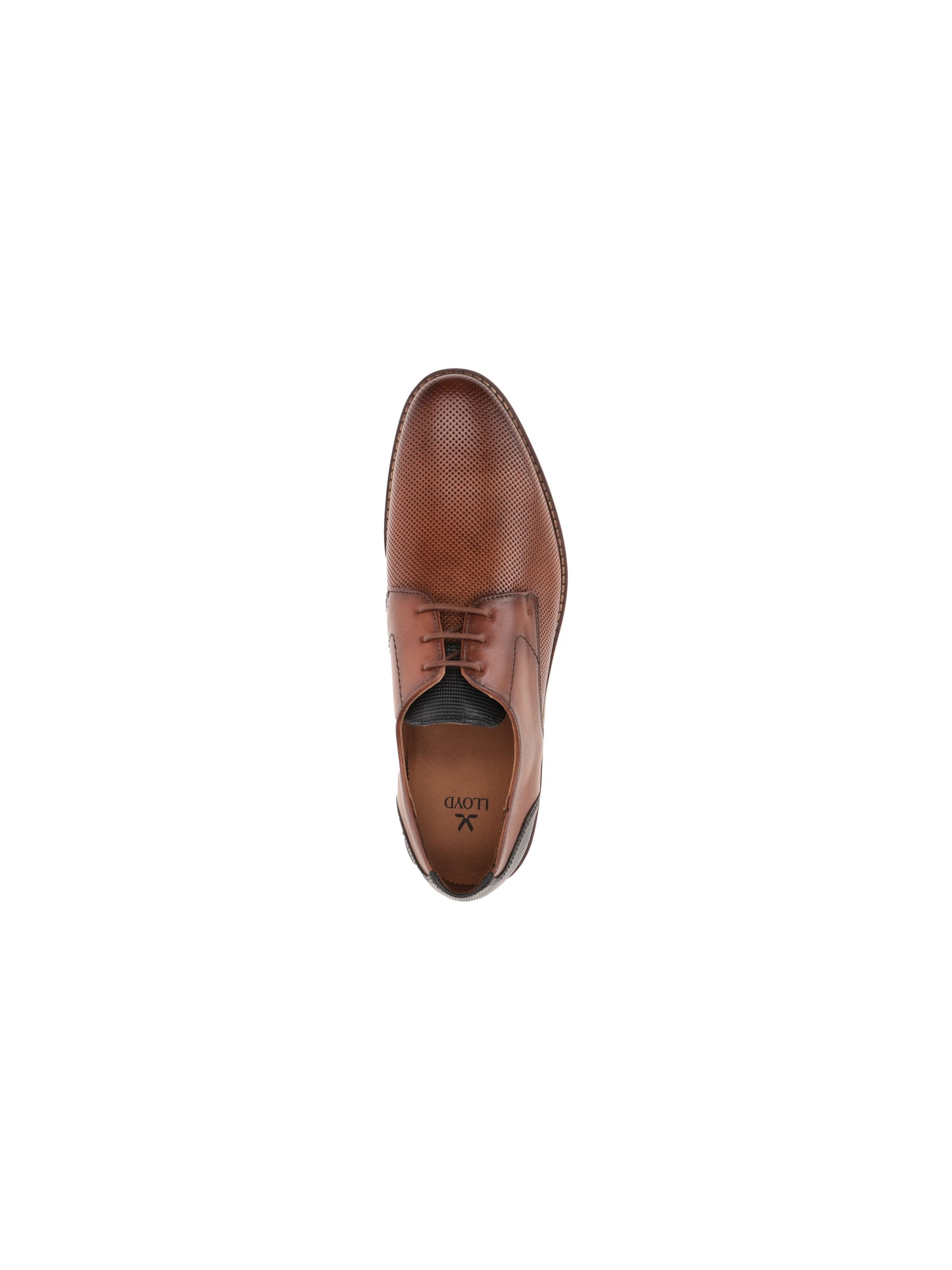 LLOYD Lace-Up Shoes 'Drift 110 16-017-11' in Brown