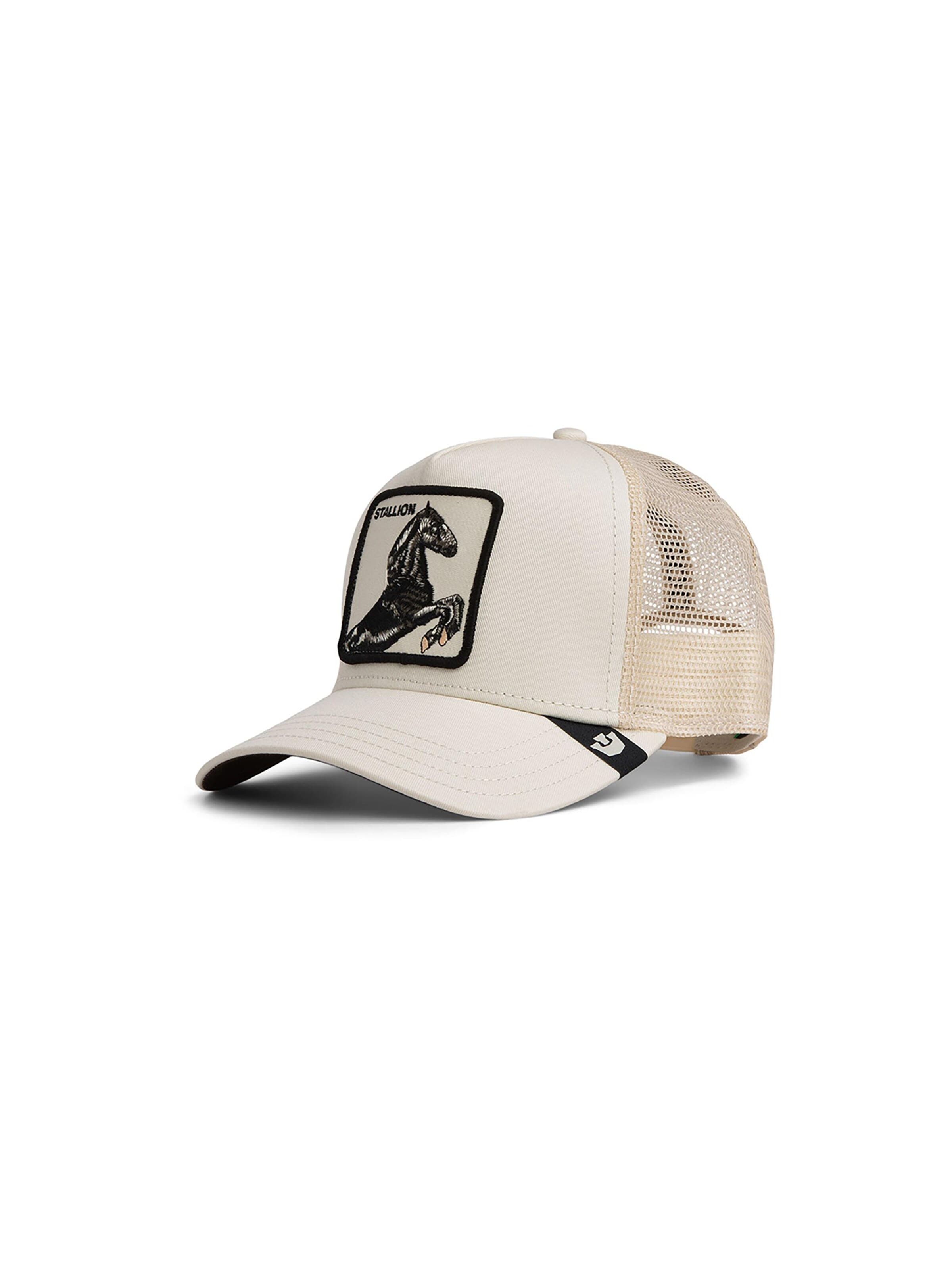 GOORIN Bros. Cap in Beige: front