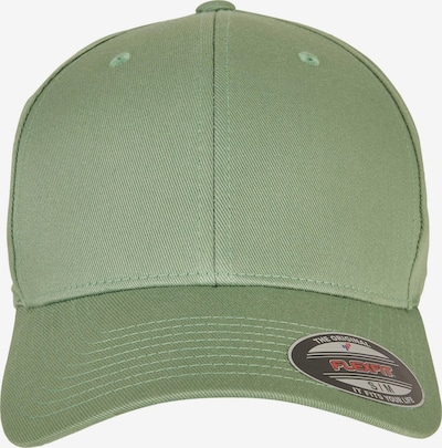 Flexfit Lippalakki värissä vihreä / musta / hopea, Tuotenäkymä