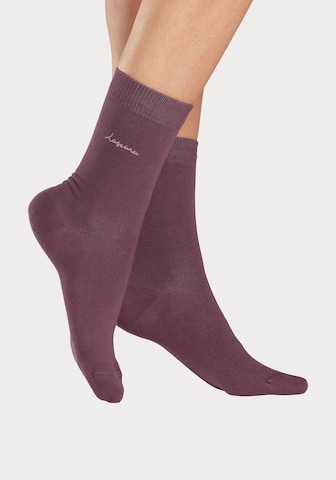 LASCANA Socks in Blue