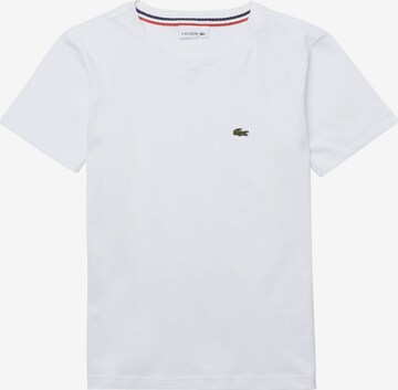 T-Shirt LACOSTE en blanc : devant