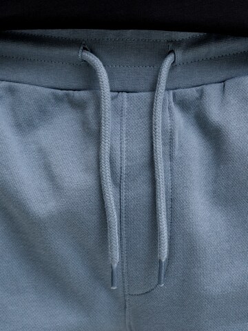 Jack & Jones Plus Regular Pants 'JPSTGordon' in Blue