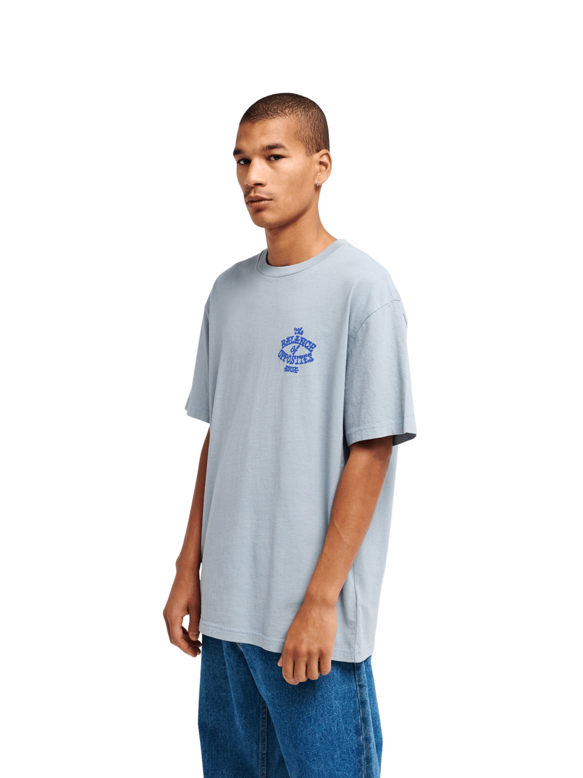 RVCA T-Shirt in Blau