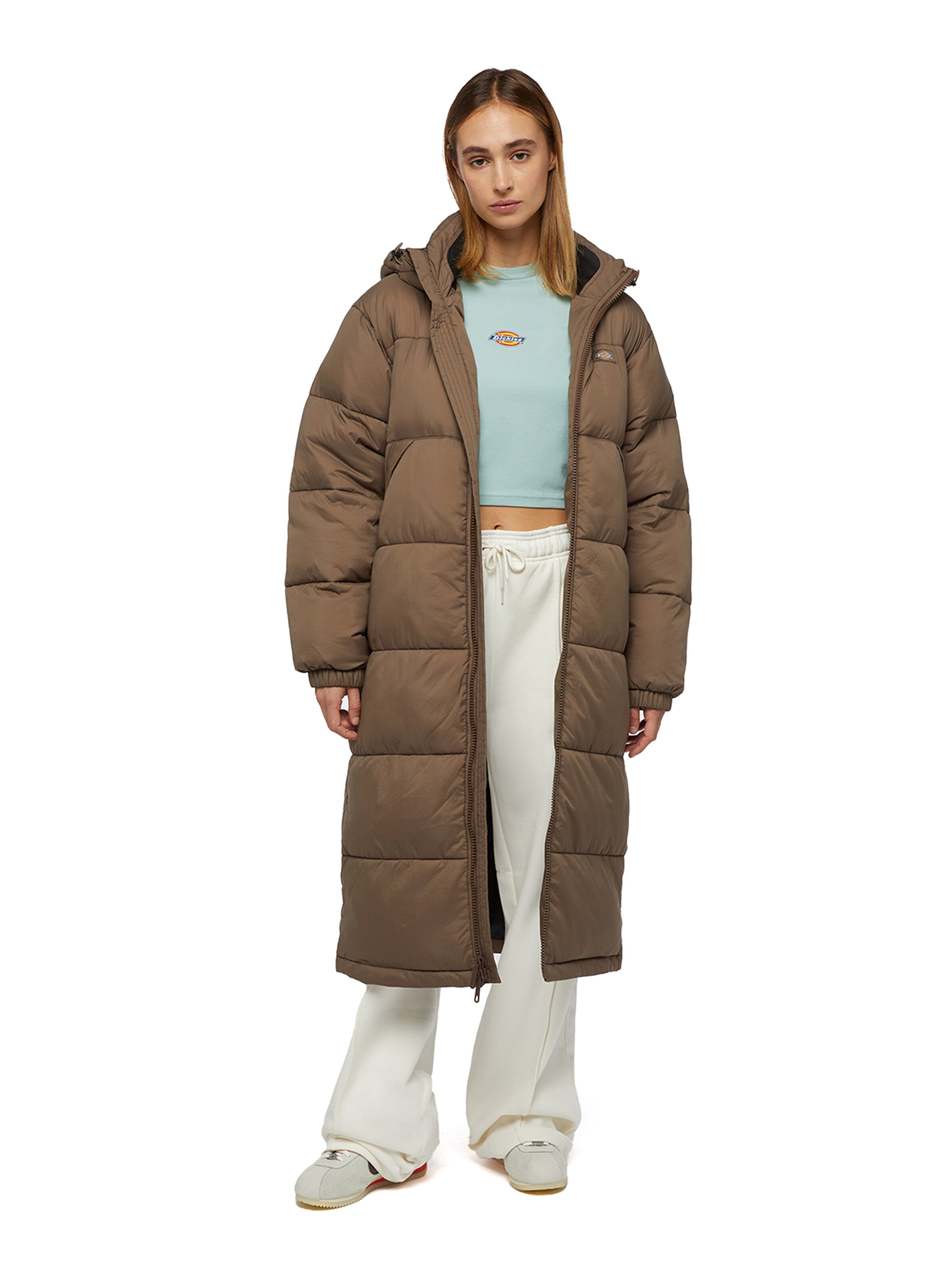 Maglietta 'MAPLE VALLEY' di DICKIES in blu