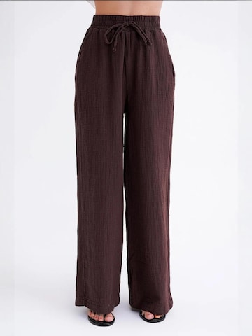 Pantalon MixRay en marron : devant