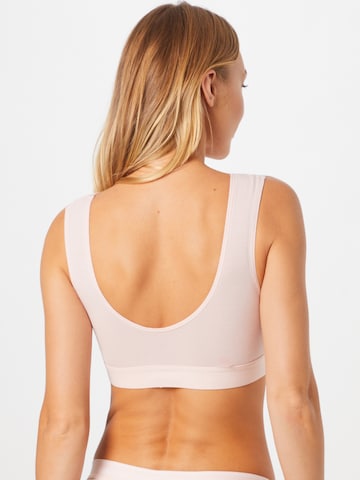 Calvin Klein Underwear Normální Podprsenka – pink