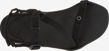 Xero Shoes Sandals 'Z-Trek' in Black