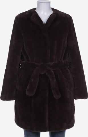 Dorothy Perkins Jacket & Coat in XL in Brown: front