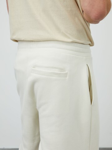 Regular Pantaloni 'Tino' de la DAN FOX APPAREL pe gri