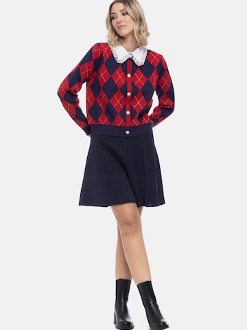 Camomilla Rok in Blauw