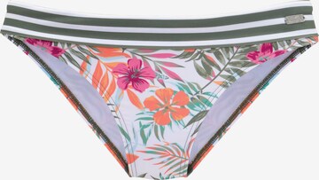 Pantaloncini per bikini di VENICE BEACH in colori misti: frontale