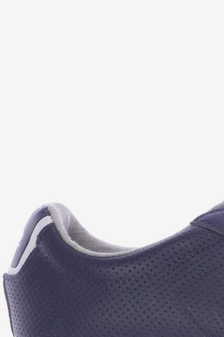 Lacoste Sport Sneaker 40,5 in Blau