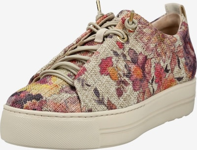 Paul Green Sneaker in creme / dunkelorange / altrosa, Produktansicht