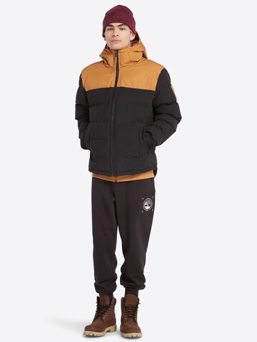 TIMBERLAND Kurtka zimowa 'Welch Mountain' w kolorze brązowy