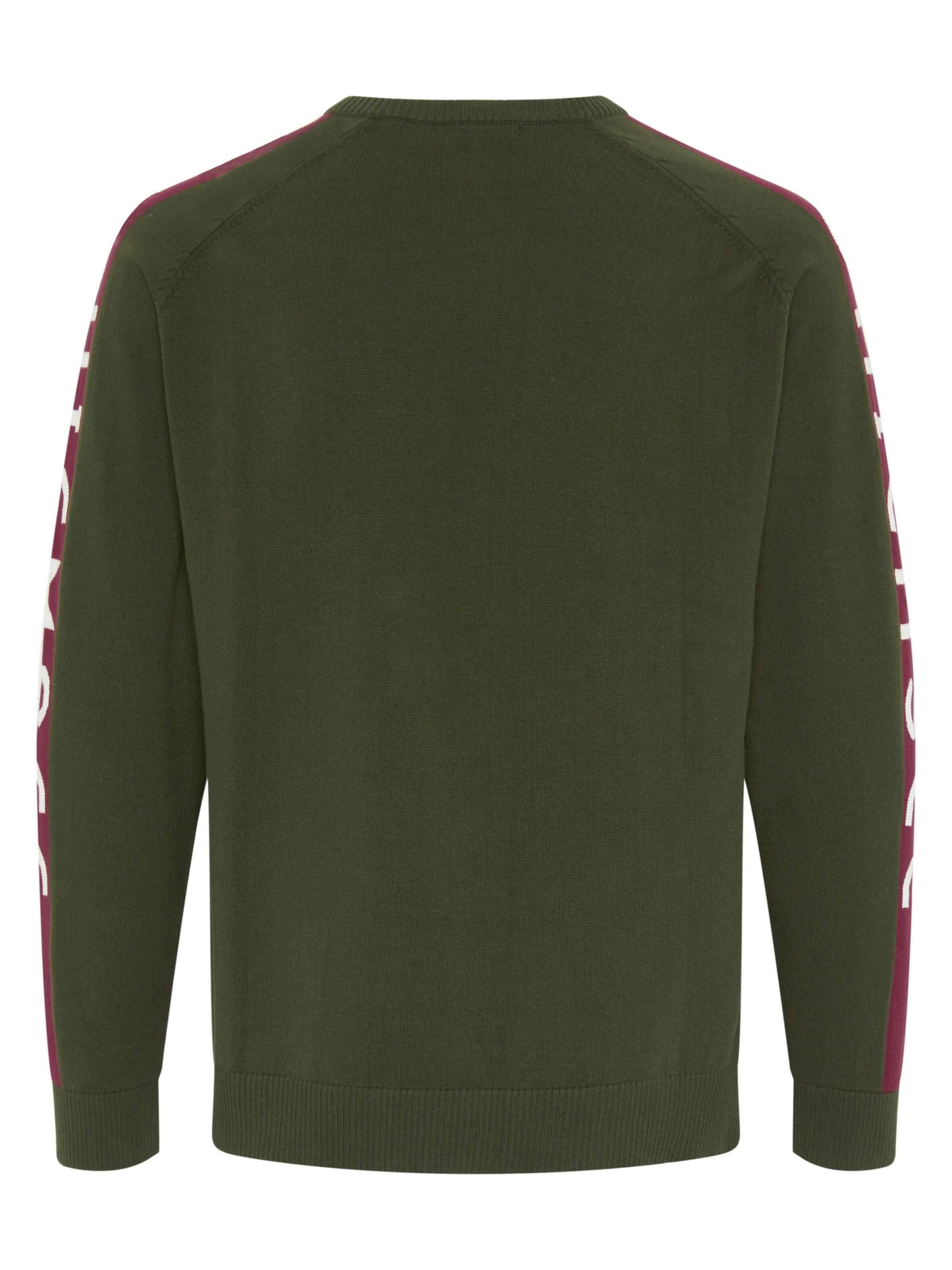 CHIEMSEE Sweater in Green