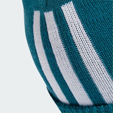 ADIDAS ORIGINALS Mütze 'Adicolor Cuff' in Grün