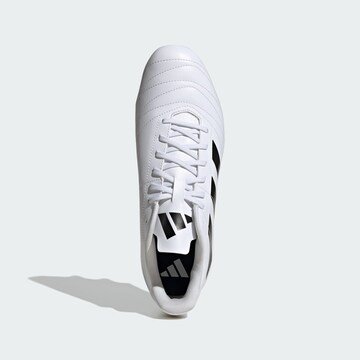 ADIDAS PERFORMANCE Fußballschuh 'Kakari' in Weiß
