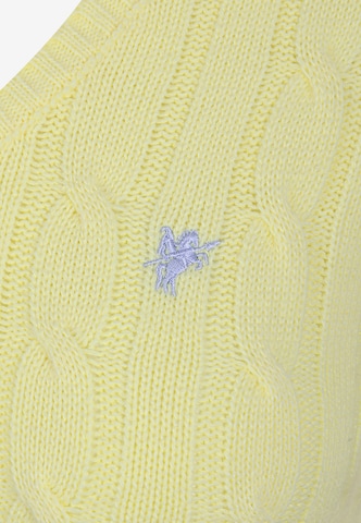 DENIM CULTURE Pullover 'Bloom' in Gelb