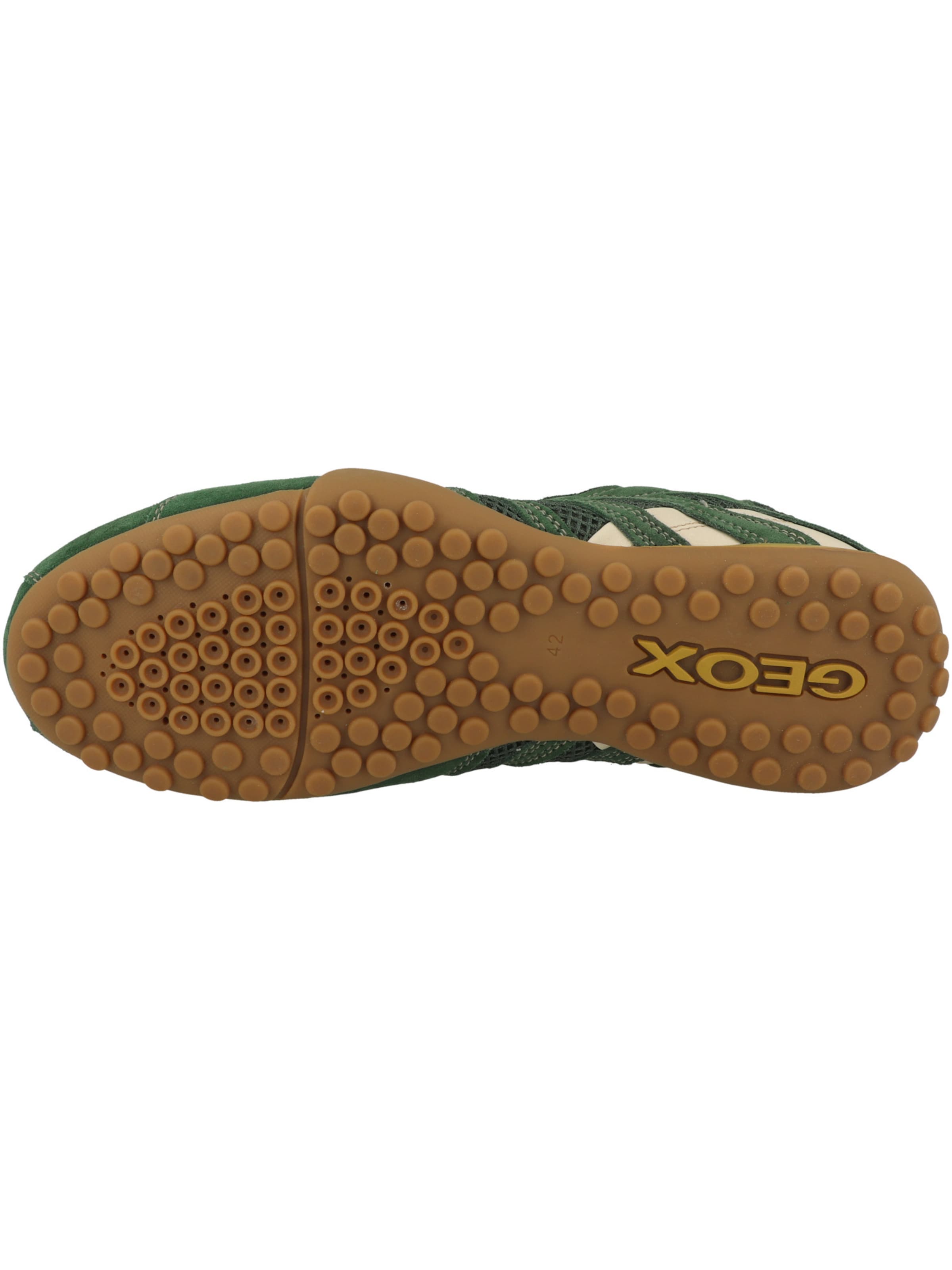 Baskets basses 'Snake Original' GEOX en vert