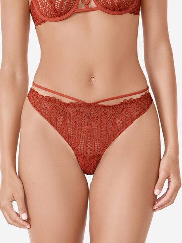 String di ETAM in marrone: frontale