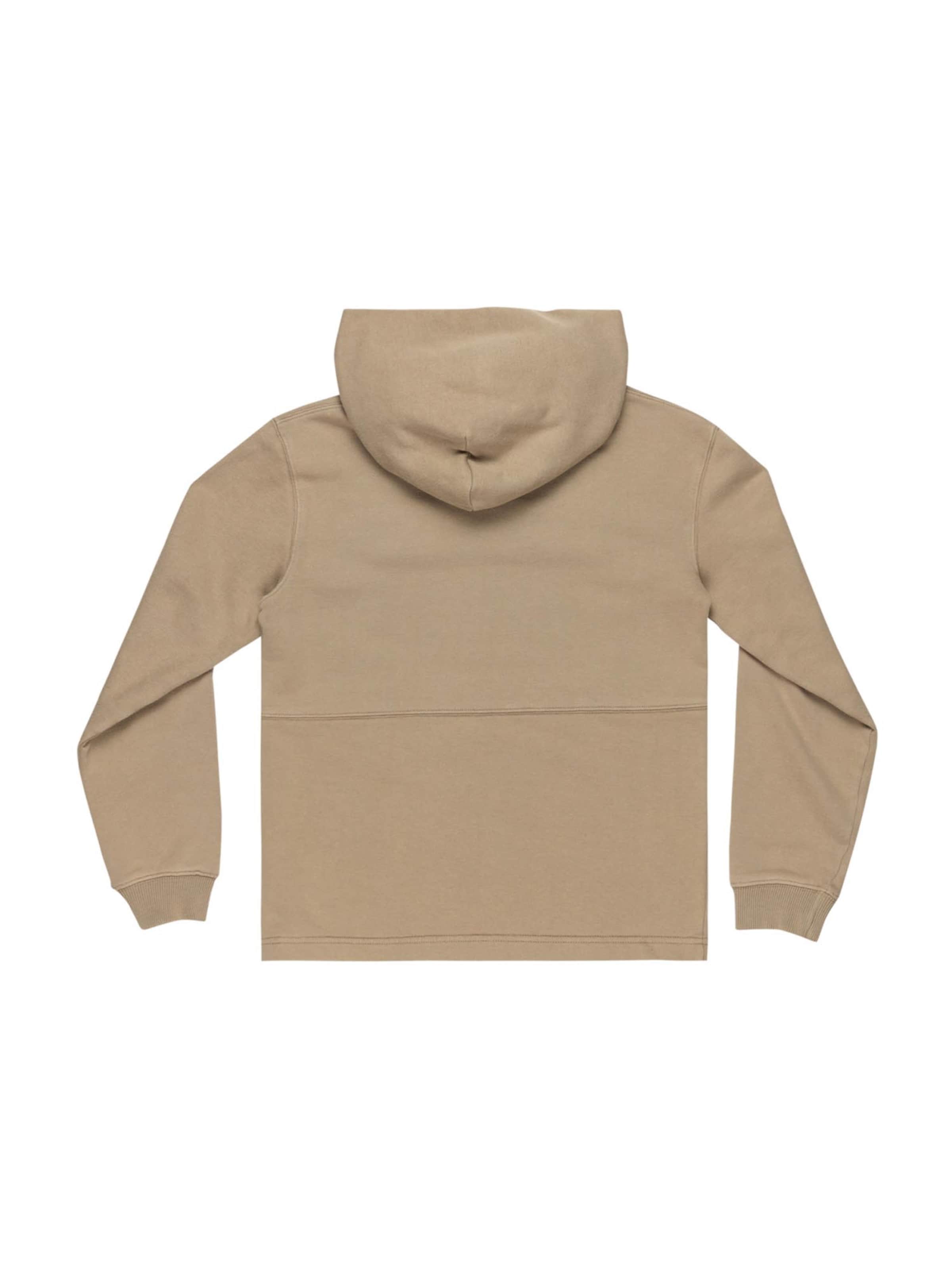 Hanorac sport 'MORTAR' de la DC Shoes pe bej