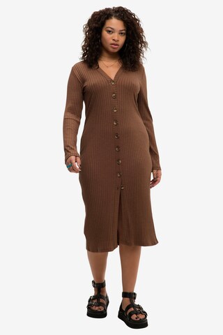 Studio Untold Dress in Brown