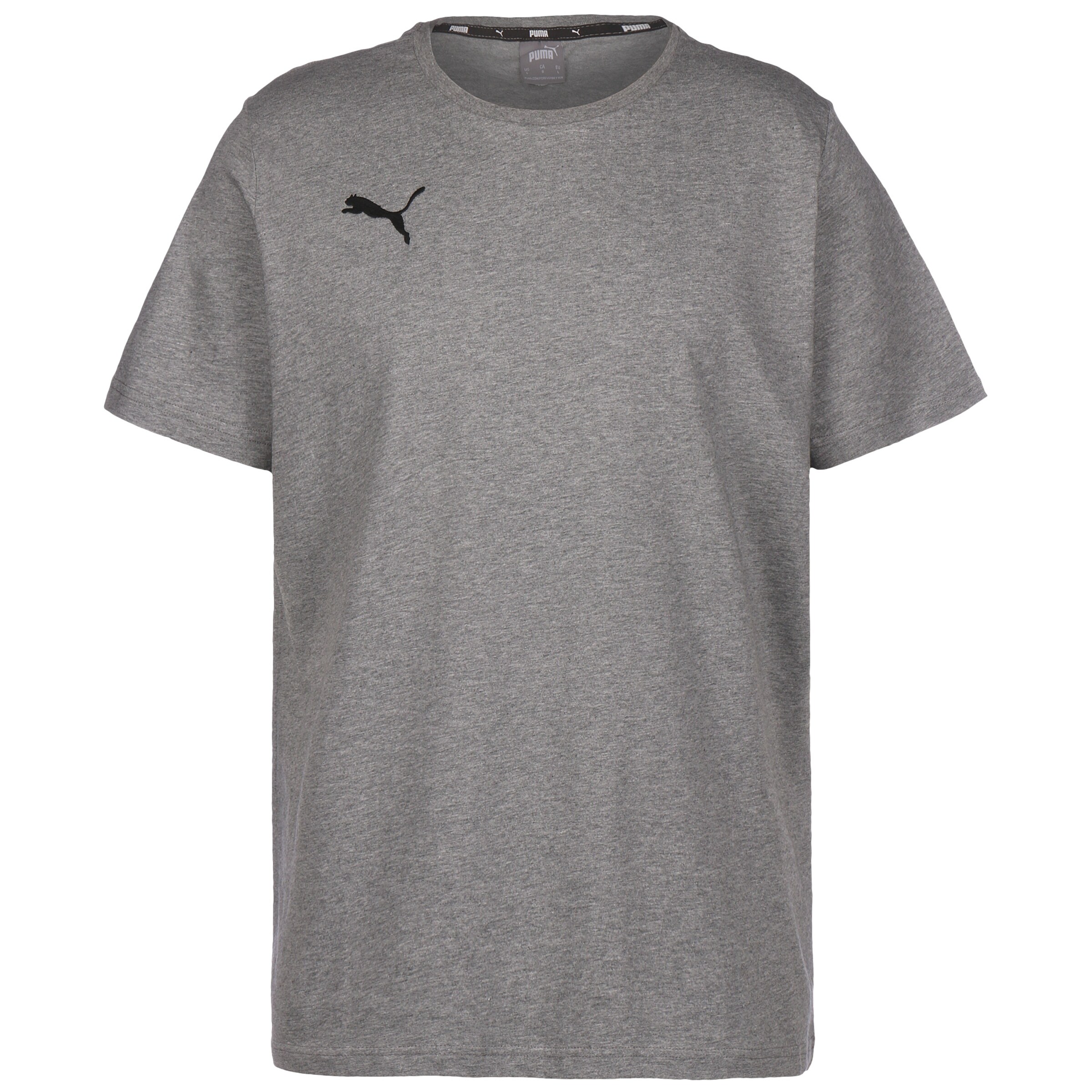 PUMA Funktionsshirt 'TeamGoal 23' in Grau: Vorderseite