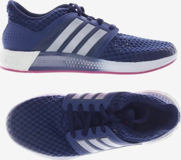 ADIDAS PERFORMANCE Sneakers & Trainers in 37 in Blue: front
