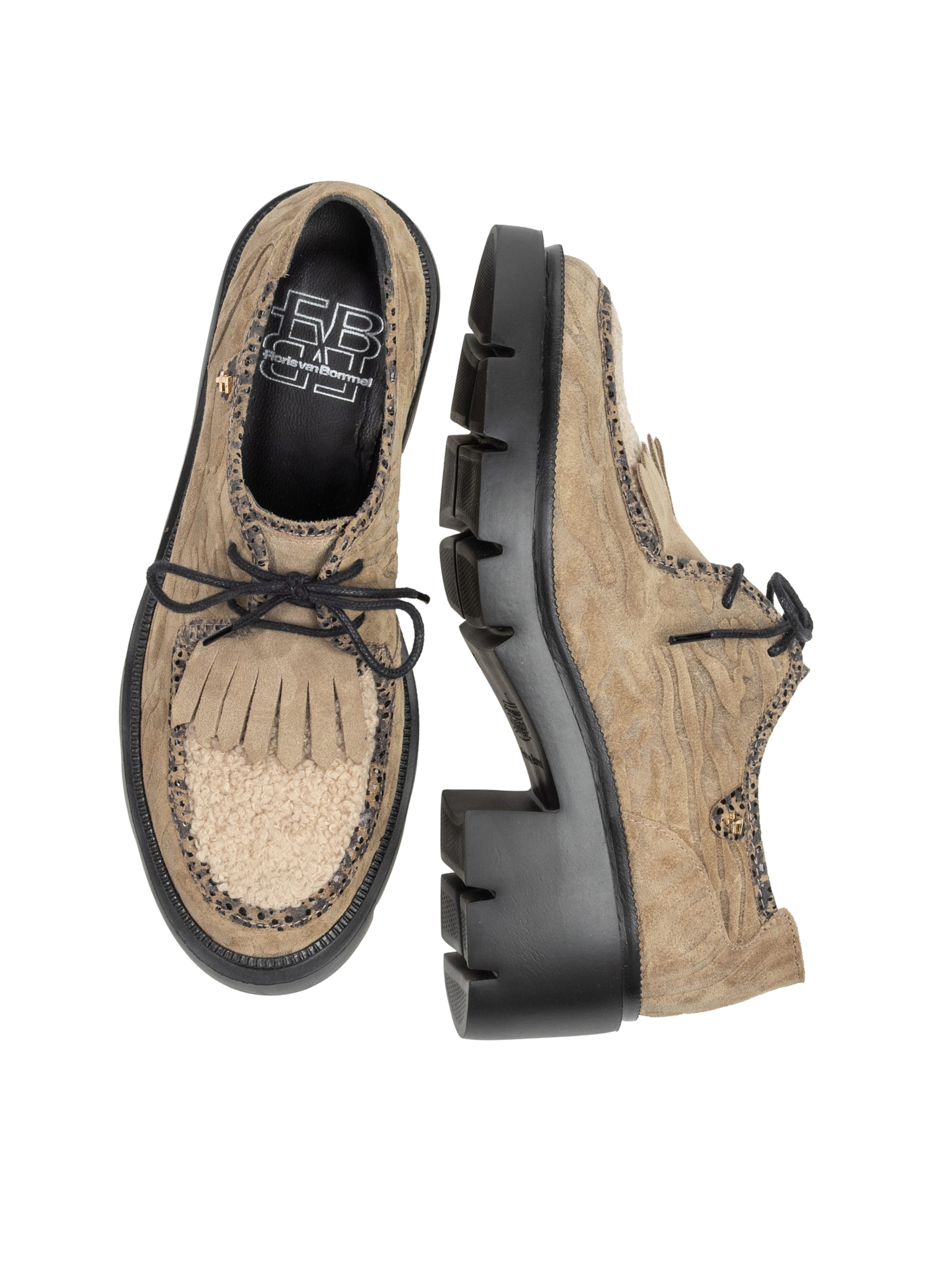 Scarpa stringata ' MADDI 03 ' di Floris van Bommel in marrone