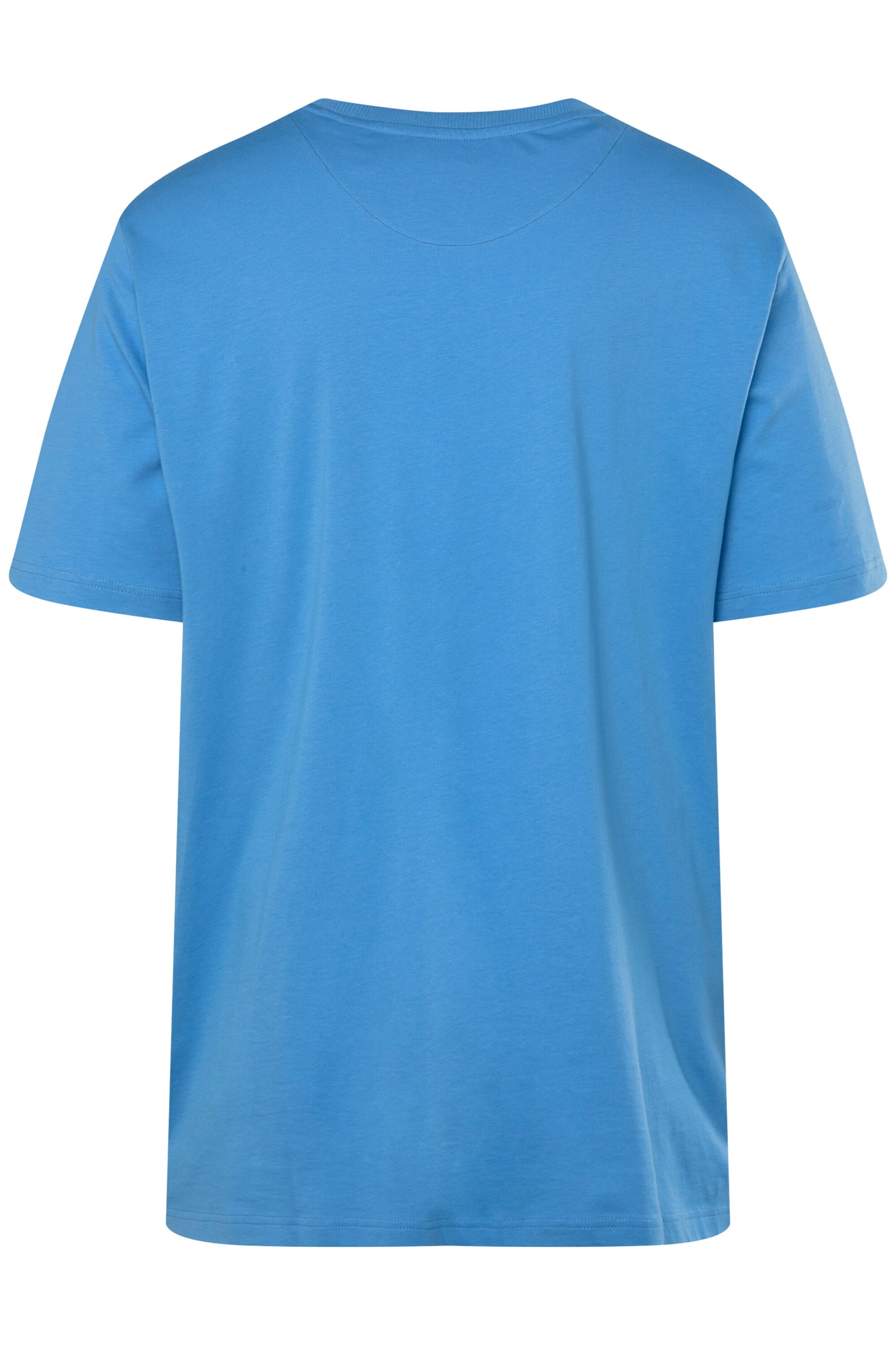 Boston Park Shirt in Blauw