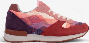 Baskets basses 'Inkkas Andes Sneaker' inkkas en mélange de couleurs : devant