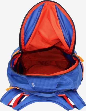 SALEWA Sports Backpack 'Ultra Train' in Blue