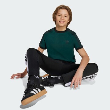 ADIDAS ORIGINALS T-Shirt 'Adicolor' in Grün