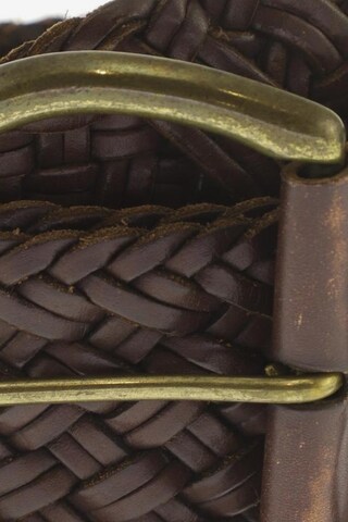 Van Laack Belt in One size in Brown