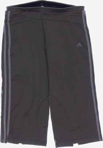 ADIDAS PERFORMANCE Shorts in M in Grey: front