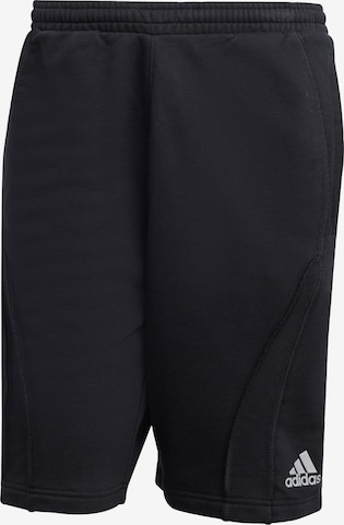 ADIDAS ORIGINALS Loosefit Housut 'Adilenium Season 4 Teamgeist' värissä musta: etupuoli