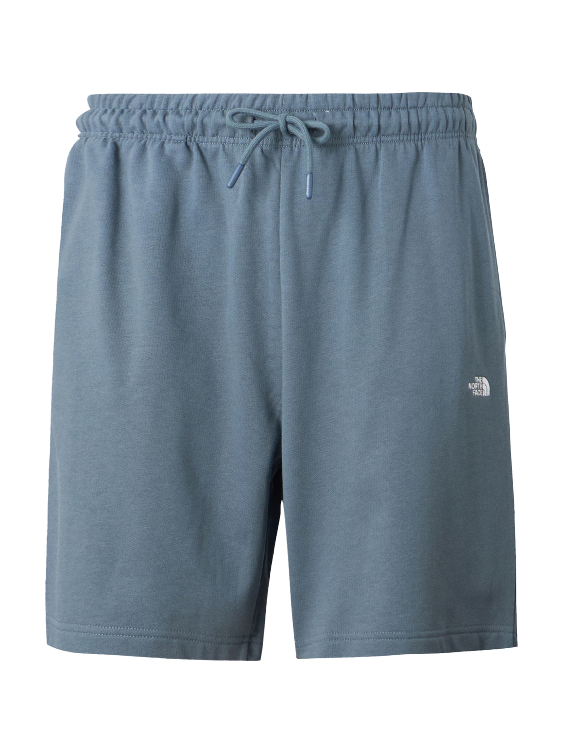 Pantaloni 'ESSENTIAL' di THE NORTH FACE in grigio: frontale