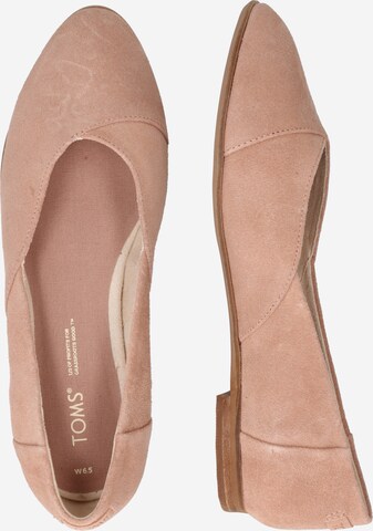 TOMS Ballet Flats 'JUTTI NEAT' in Brown