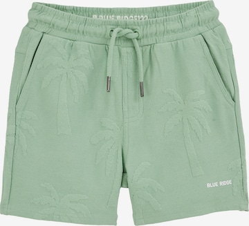 žalia WE Fashion Standartinis Kelnės: priekis