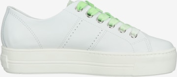 Sneaker bassa di Paul Green in bianco