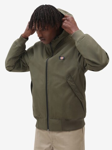 DICKIES Between-Season Jacket 'New Sarpy' in Green: front