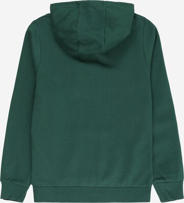 ELLESSE Sweatshirt in Groen