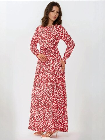 Hiccup Kleid in Rot