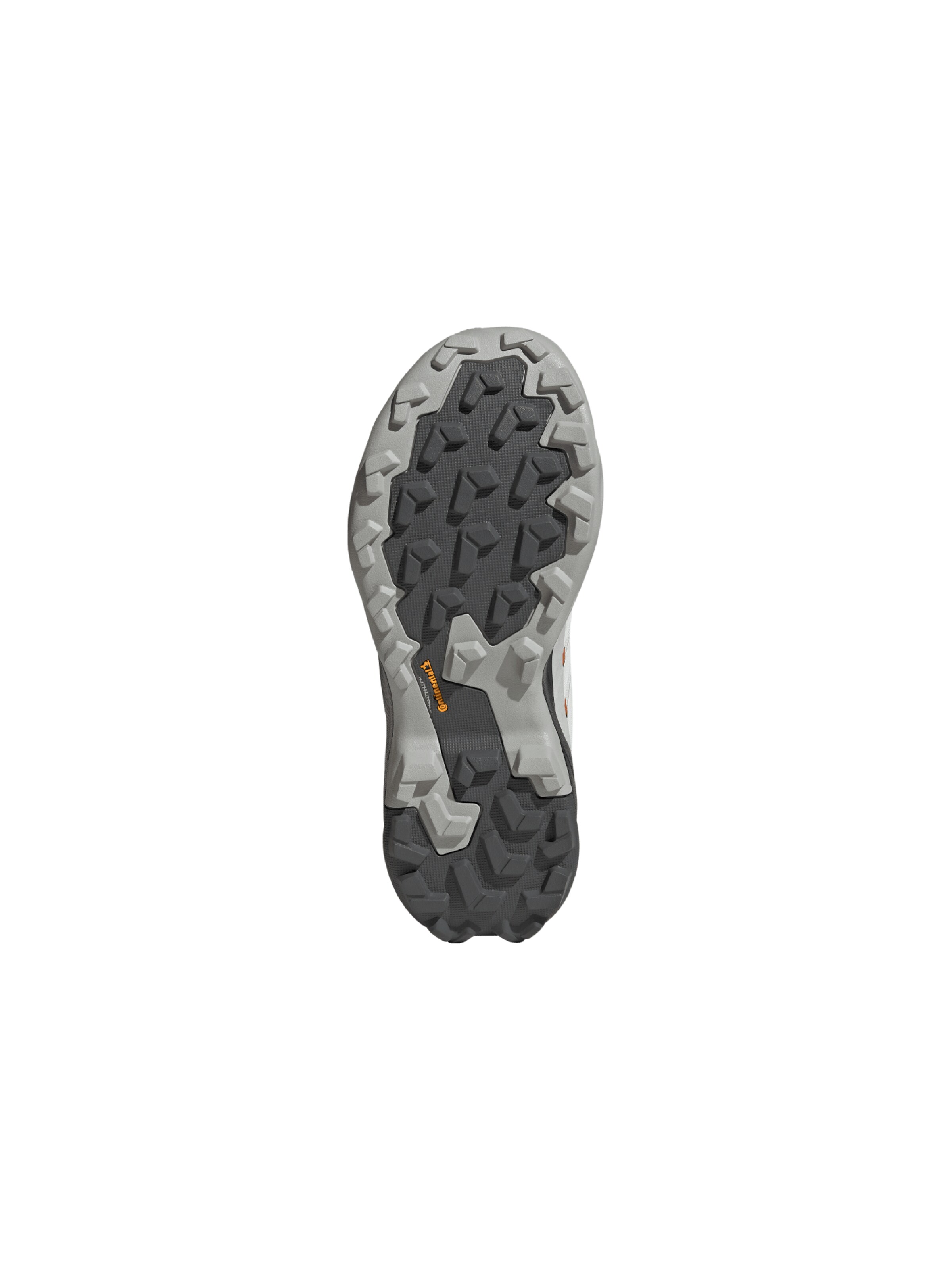 ADIDAS TERREX Nizki čevelj 'Skychaser Ax5' | siva barva